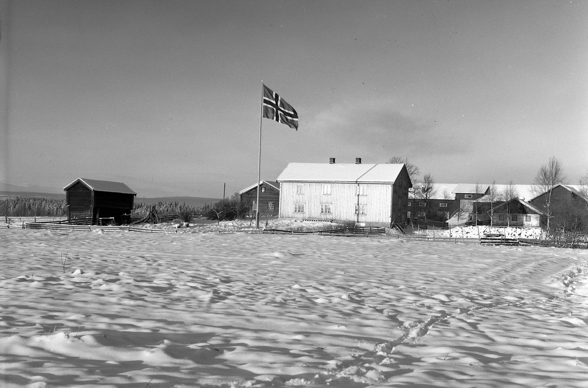 Anno Domkirkeodden, EKSTR: GARDSTUN, HOLEN ØSTRE, LØTEN. Se Løtenboka, bind 2. Bygdeboka fra 1953, side 658