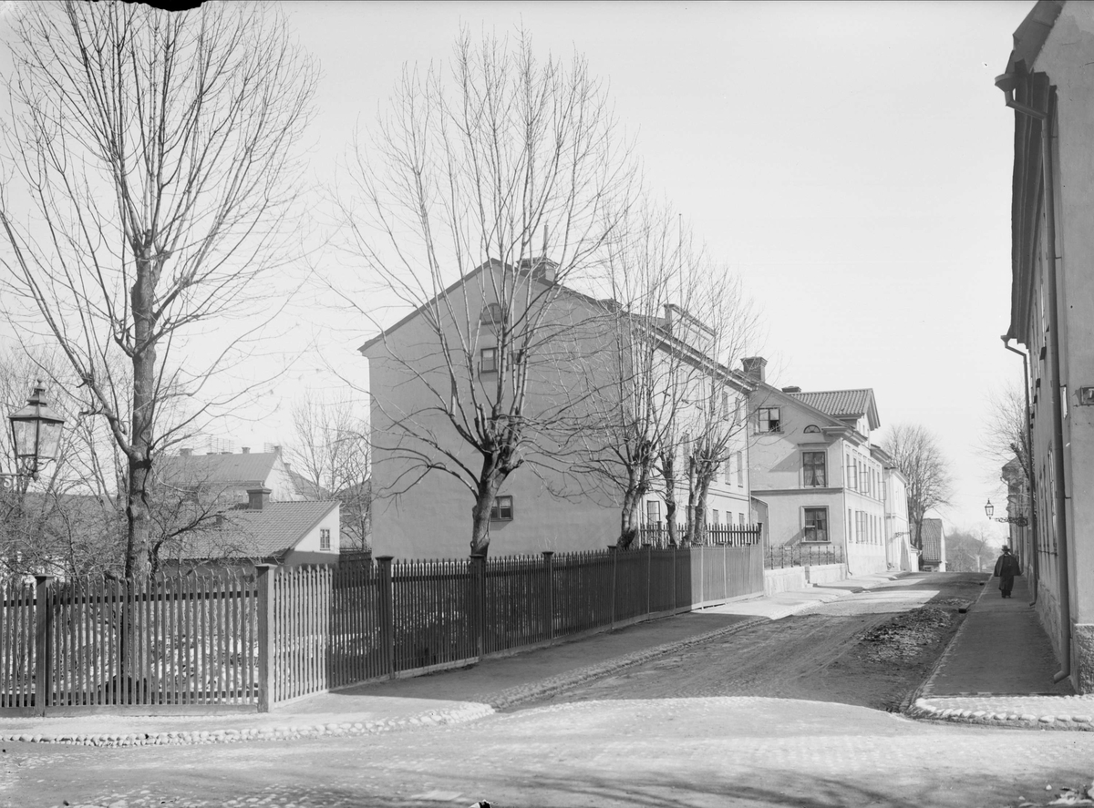 Alfred Dahlgren, St Johannesgatan - Rundelsalld, Uppsala 1901 - 1902