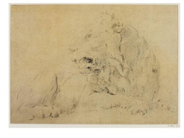 Unknown, Study of a Reclining Lion Facing Left
