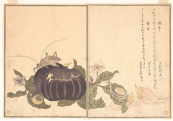 Kitagawa Utamaro, Land Snail (Katatsumuri); Giant Katydid (Kutsuwamushi), from the Picture Book of Crawling Creatures (Ehon mushi erami)