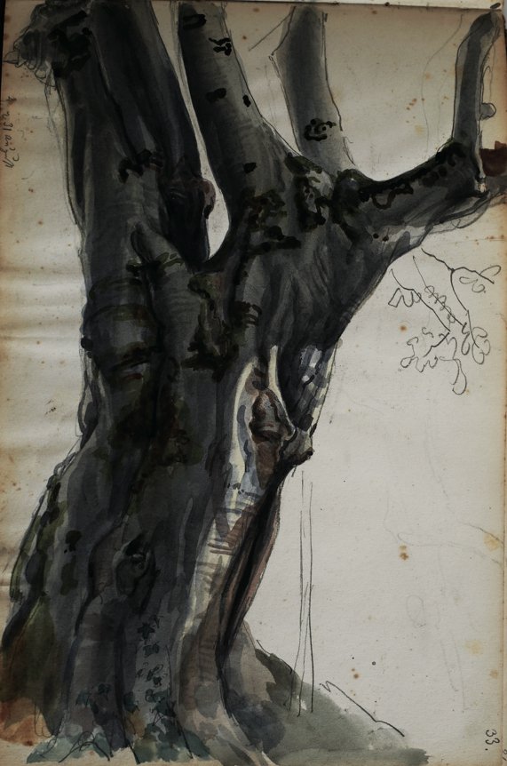 Heinrich Jakob Fried, Baumstudie