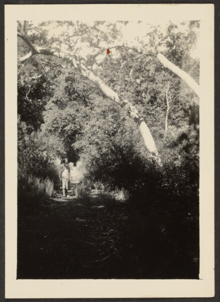 Louis Fleckenstein, [Figures on Path]