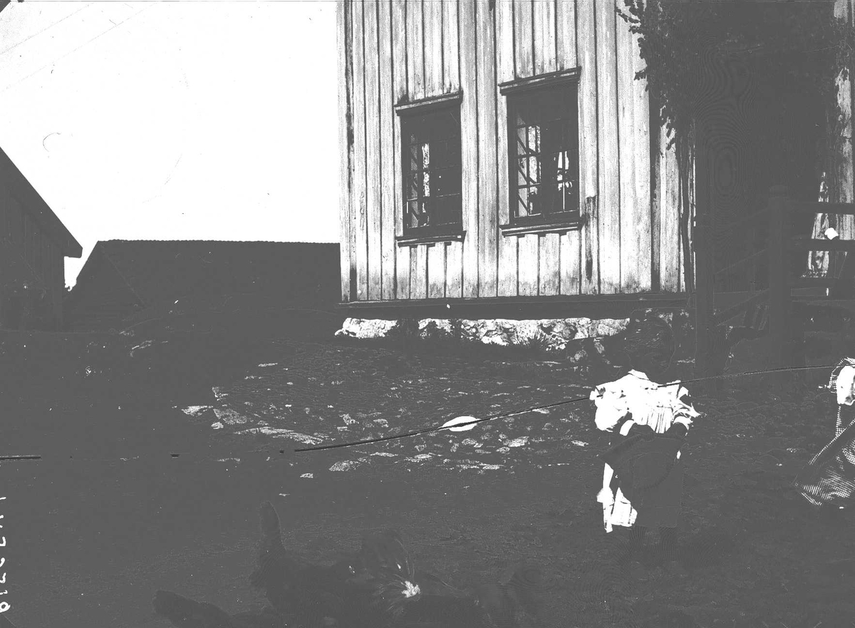 Axel Quinsgaard Wiborg, Karen og Gudrun på tunet på Gamle Digerud, Frogn, Akershus, 1899.