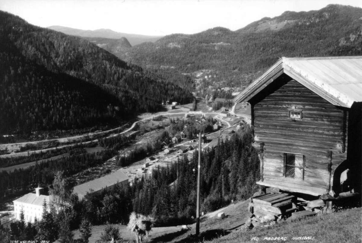 Hermann Christian Neupert, Rødberg, Nore og Uvdal. 1930. Oversiktsbilde. Utsikt over bygda. Gårder omgitt av skog og fjell. Stabbur i forgrunnen.