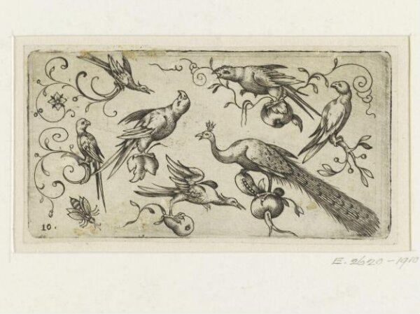 Unknown, Print