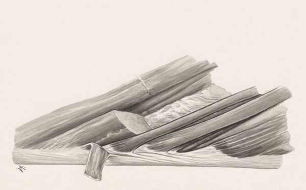 J Tinkelenberg, Muscular tissue