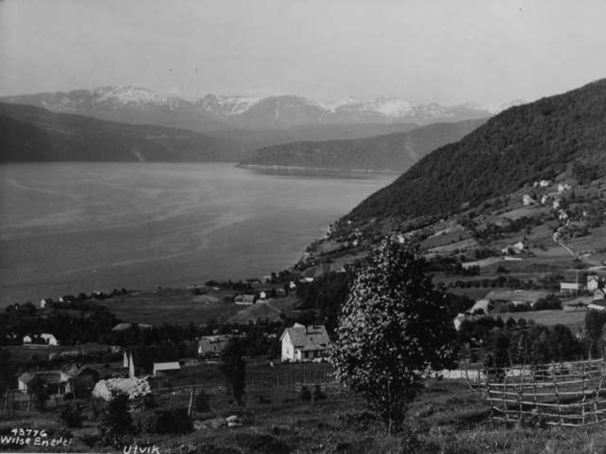 Anders Beer Wilse, -6743