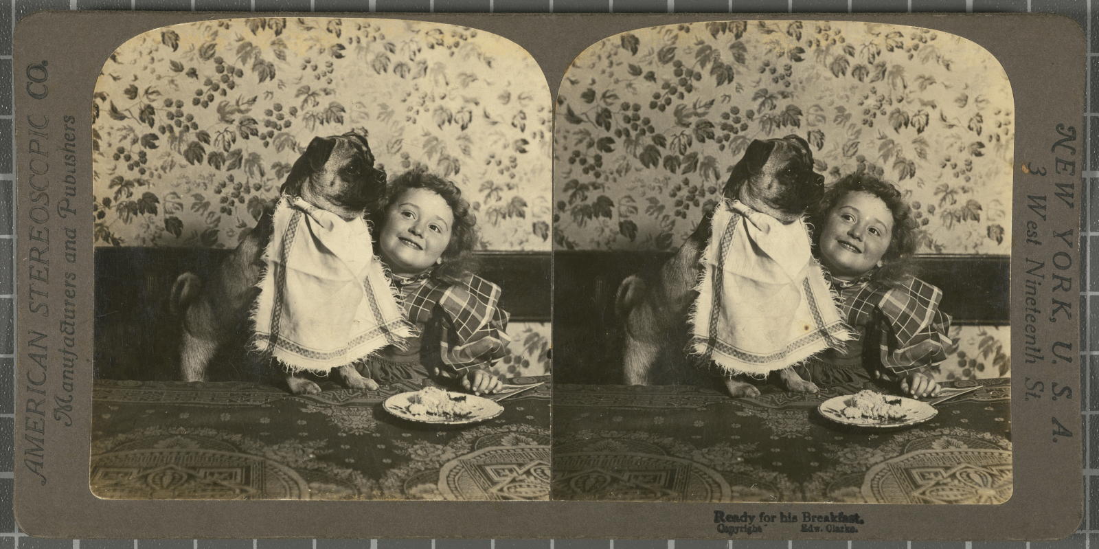 Desconegut, Ready for his breakfast American Stereoscopic Company