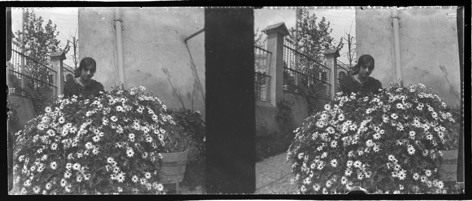 Desconegut, Santa Coloma