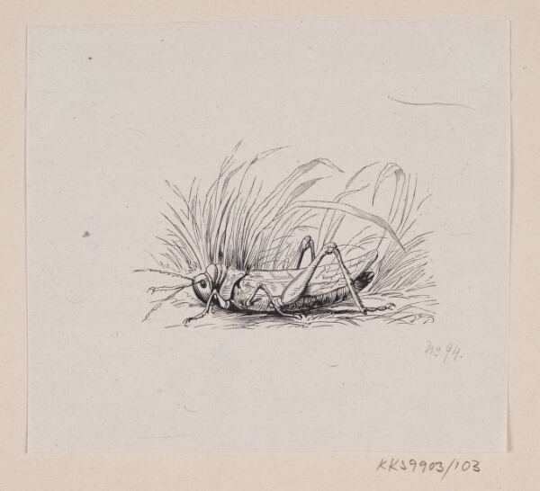 H.P. Hansen, Illustration til "Springfyren" i H.C. Andersen, "Eventyr og Historier", Bind 2