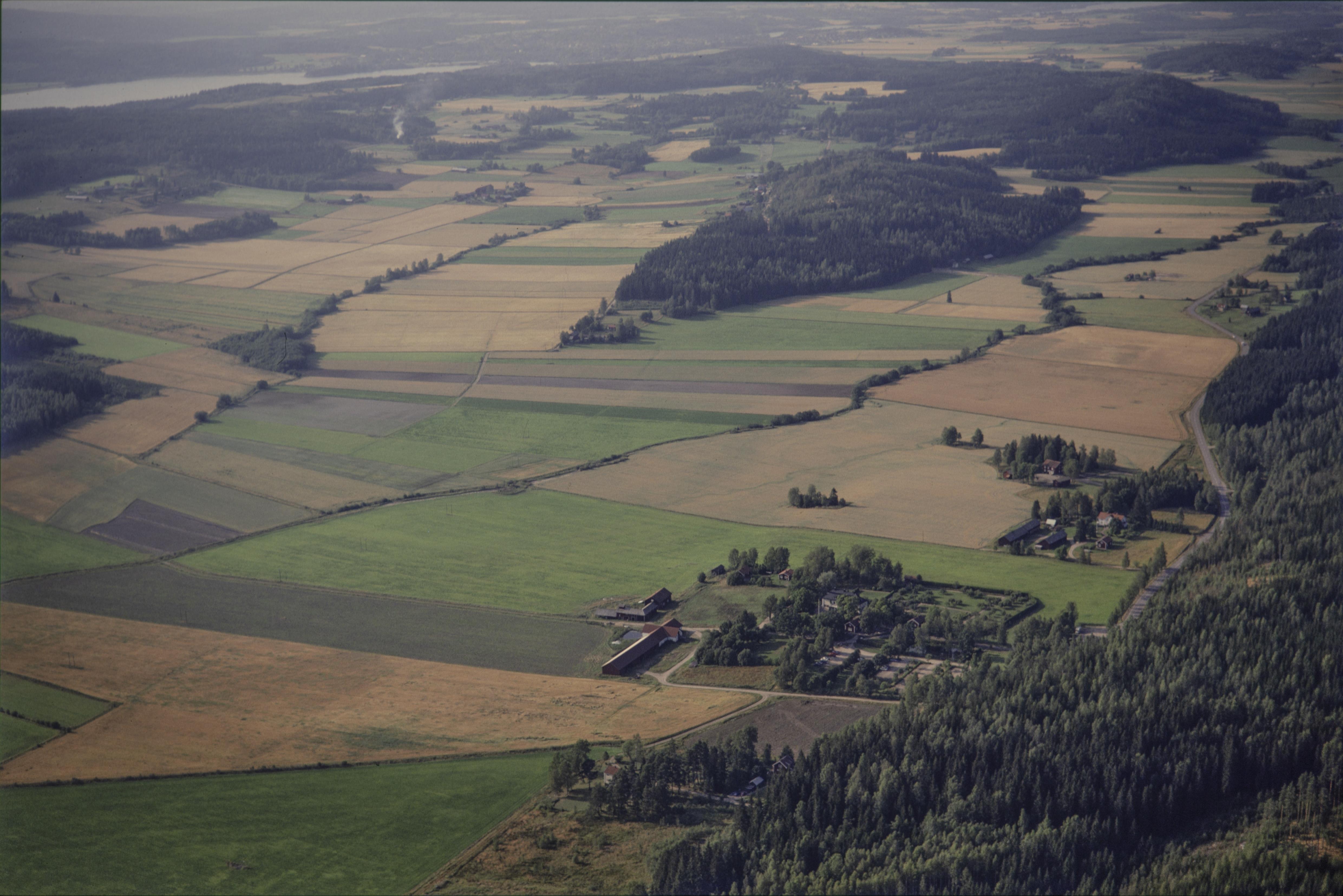 Jan Norrman, Östra Ämtervik 288:1