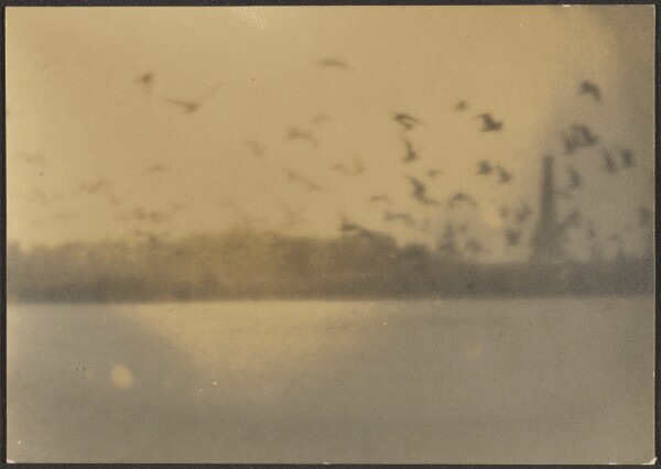 Louis Fleckenstein, [Landscape with Birds]