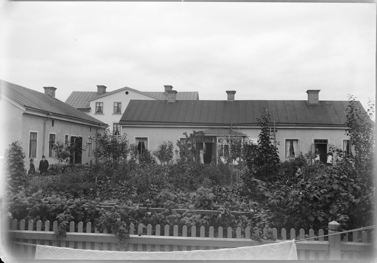 Henri Osti's Fotografiateliér, Peterska sjukhemmet, kvarteret Sigar, Götgatan 4, Uppsala 1890