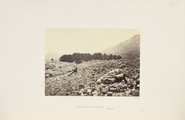 Francis Frith, Distant View of the Cedars of Lebanon