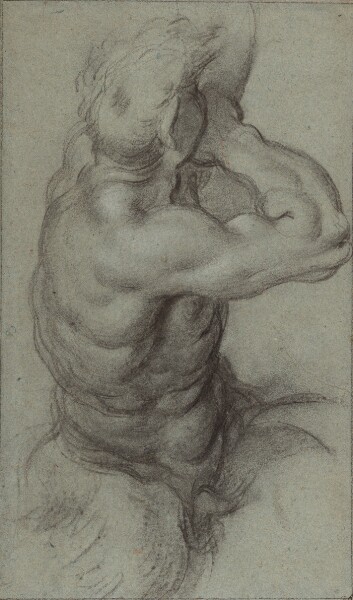 Annibale Carracci, Study of Triton Blowing a Conch Shell (recto); Partial Study of an Arm (verso)
