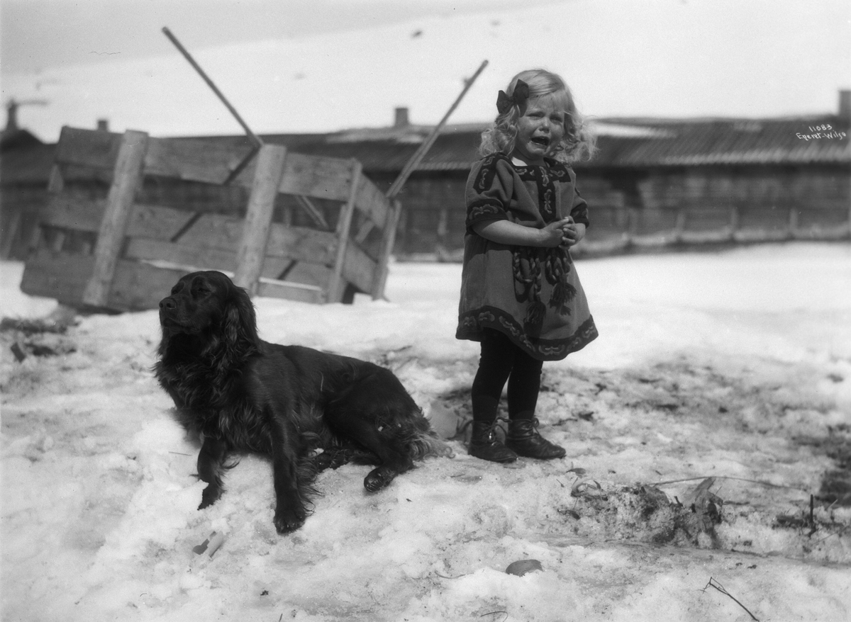 Anders Beer Wilse, Prot: Ba er uskikkelig 1910
