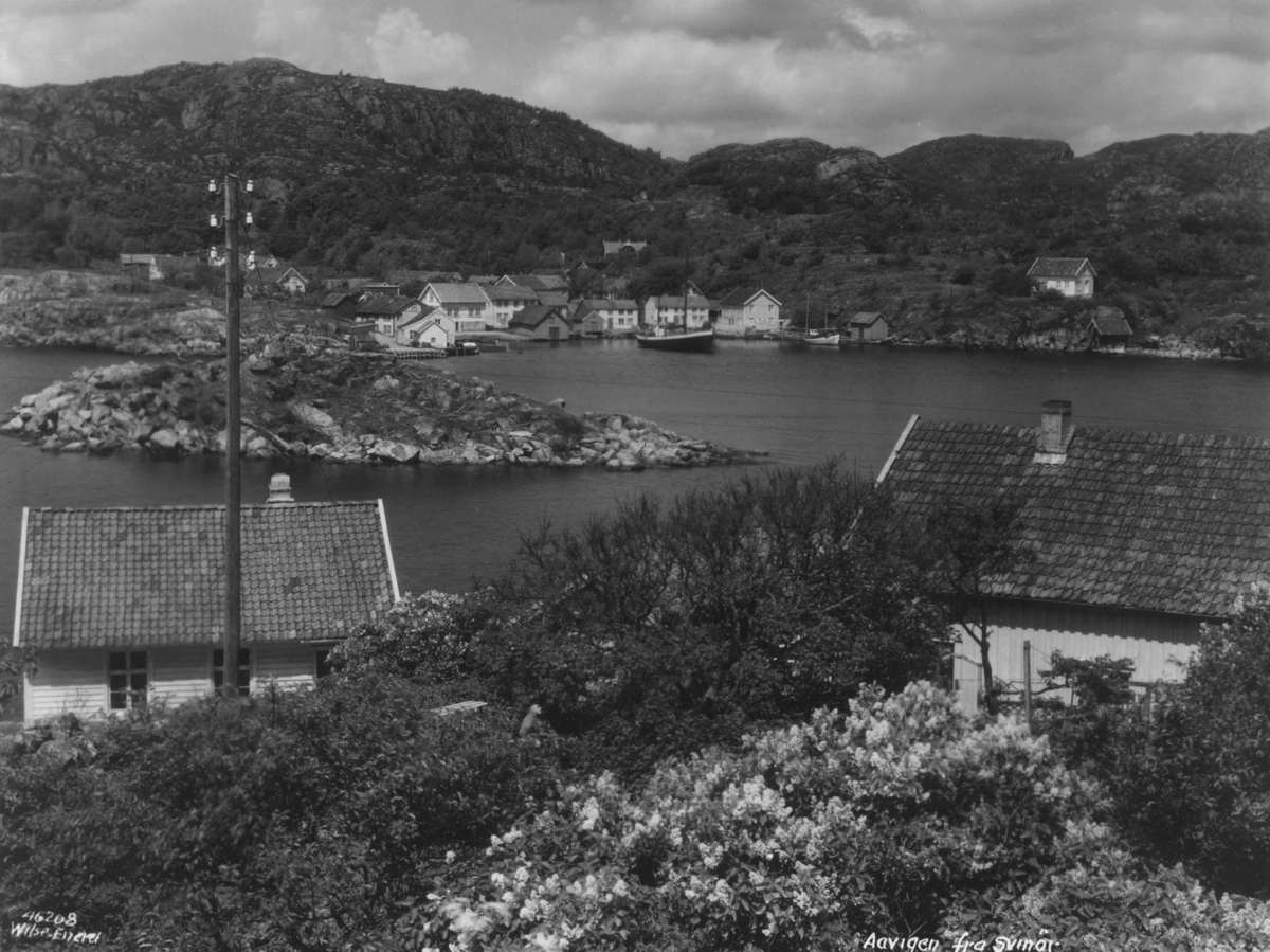 Anders Beer Wilse, Wilse original, bebyggelse Åvik