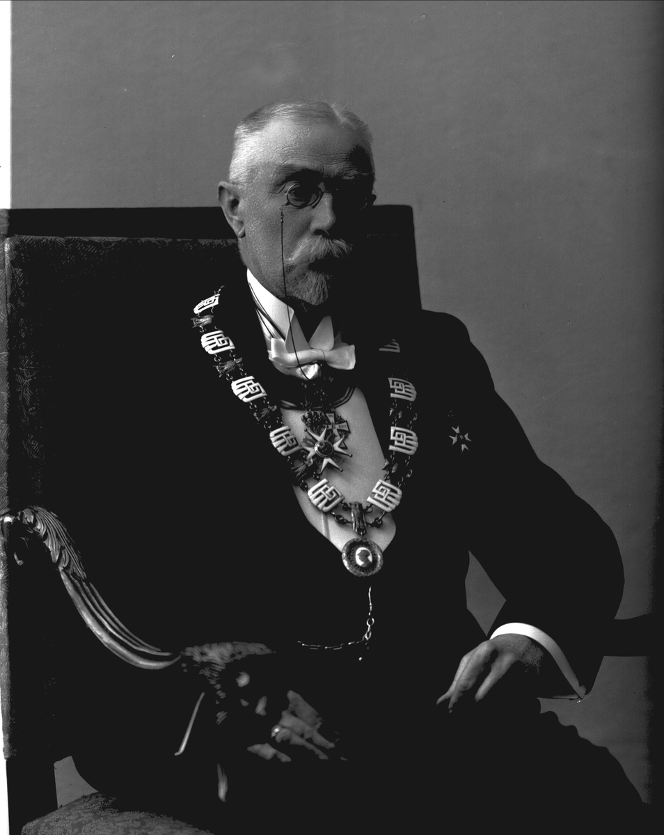 Gustav Borgen, Portrett, rektor ved universitetet i Oslo. Professor Morgenstjerna.