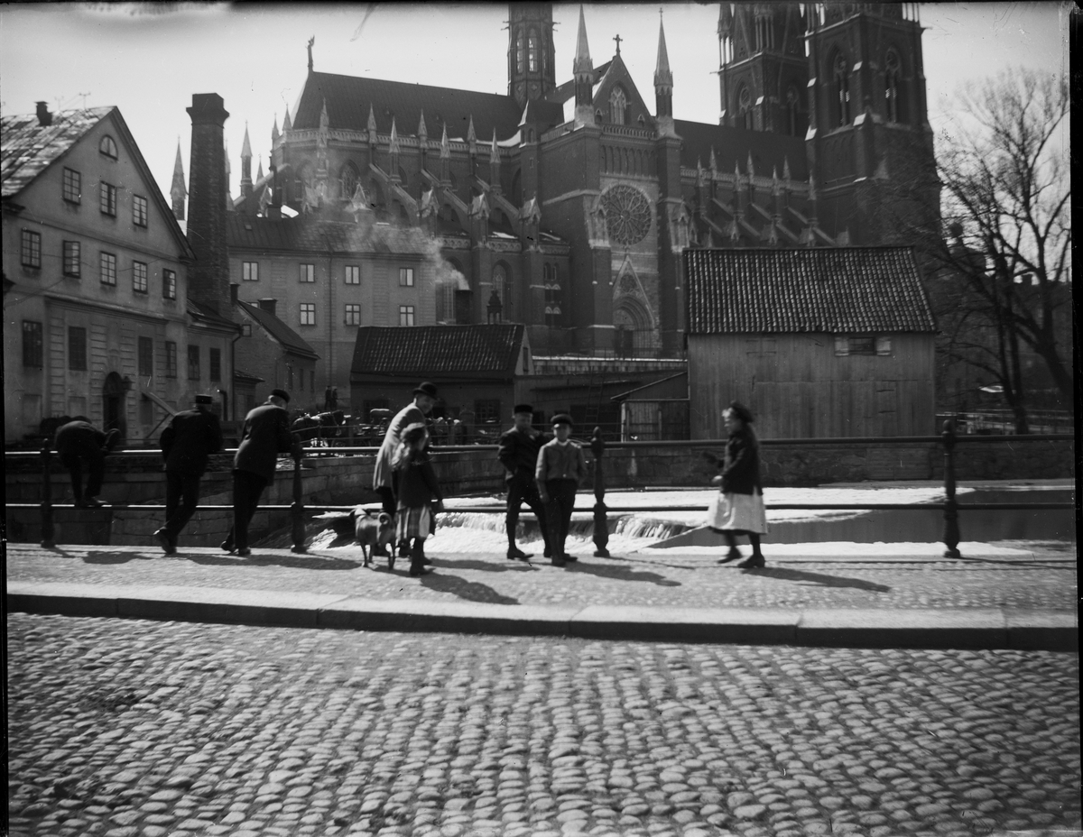 Okänd,, Uppsala domkyrka och Akademikvarnens gård från Östra Ågatan, Uppsala efter 1893