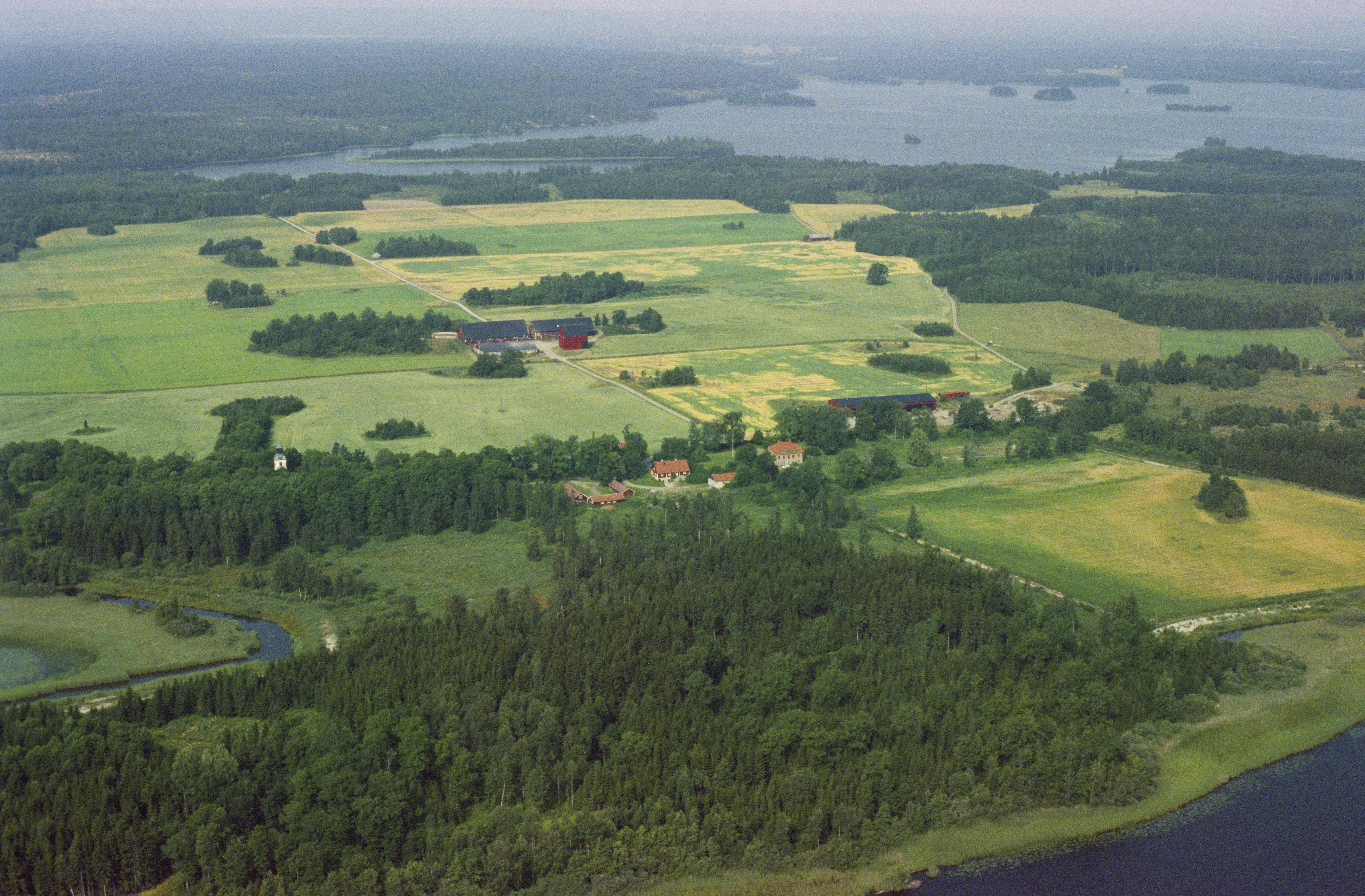 Jan Norrman, Kägleholm