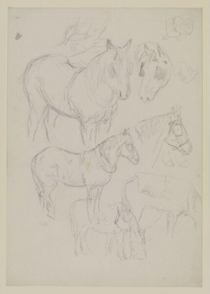 Potter, Beatrix, drawing