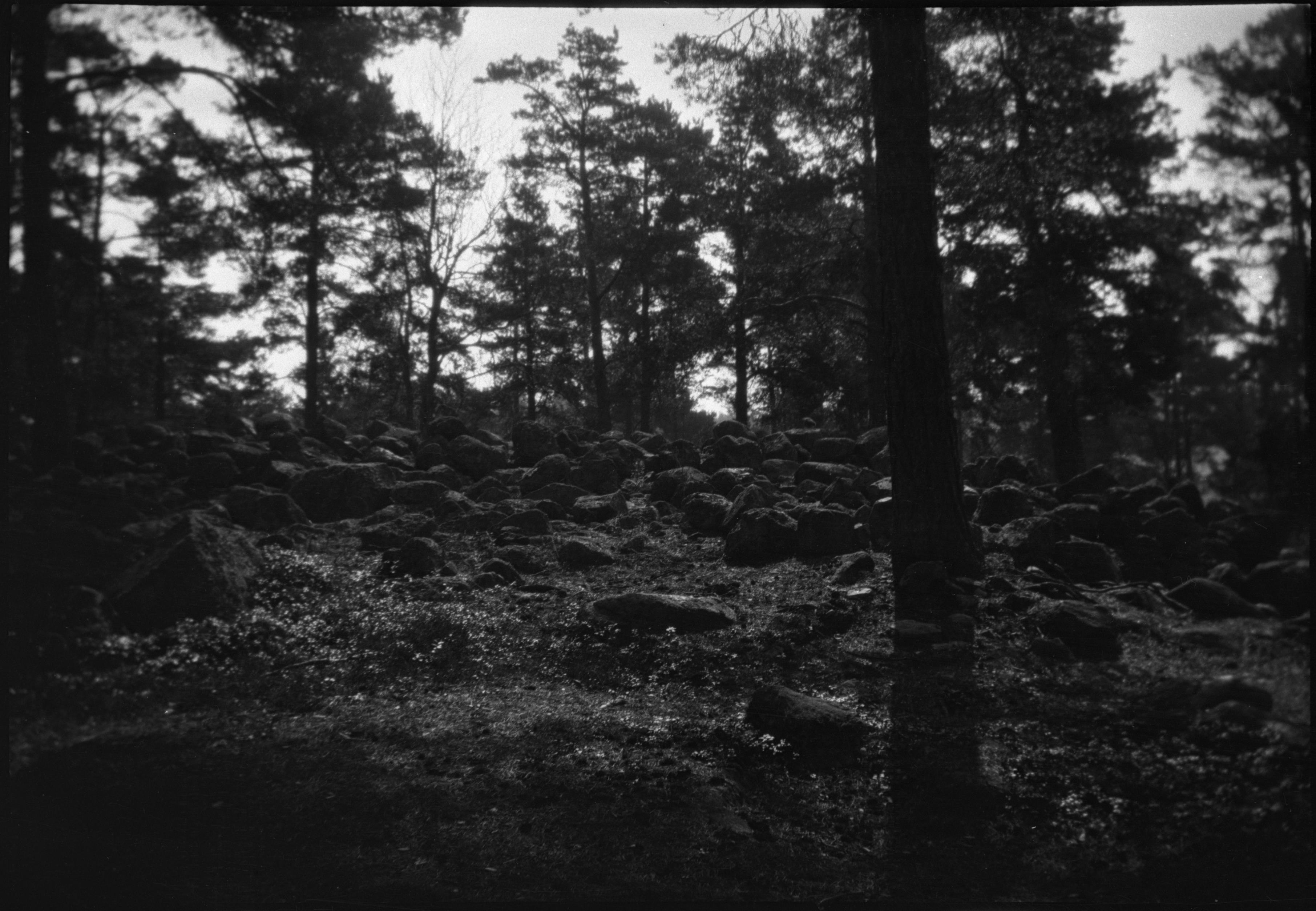 Berit Wallenberg, Spånga