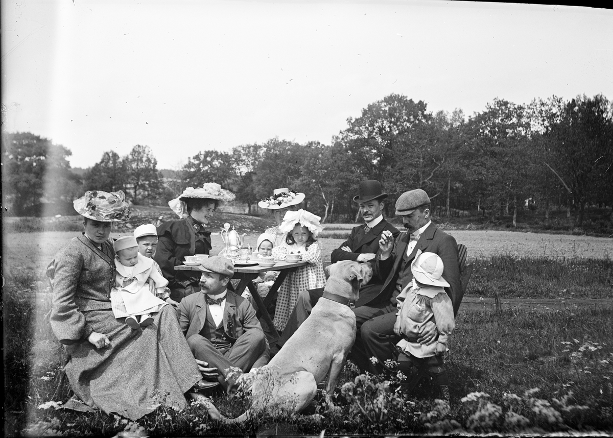 Okänd,, Kaffebjudning i trädgården. Ruben och Christiane Liljefors med sonen Roland och två andra kvinnor och män, barn och hund, sannolikt i Sverige 1902-1903