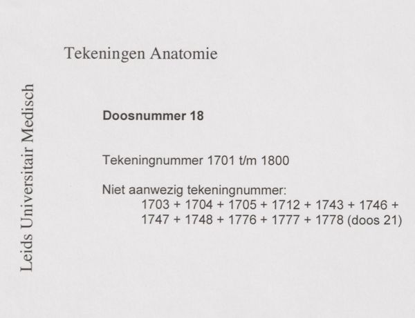 J Wetselaar-Whittaker, Foot of a human embryo