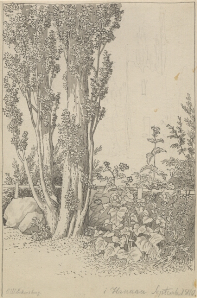 C.W. Eckersberg, Popler og vilde vækster ved Hannau