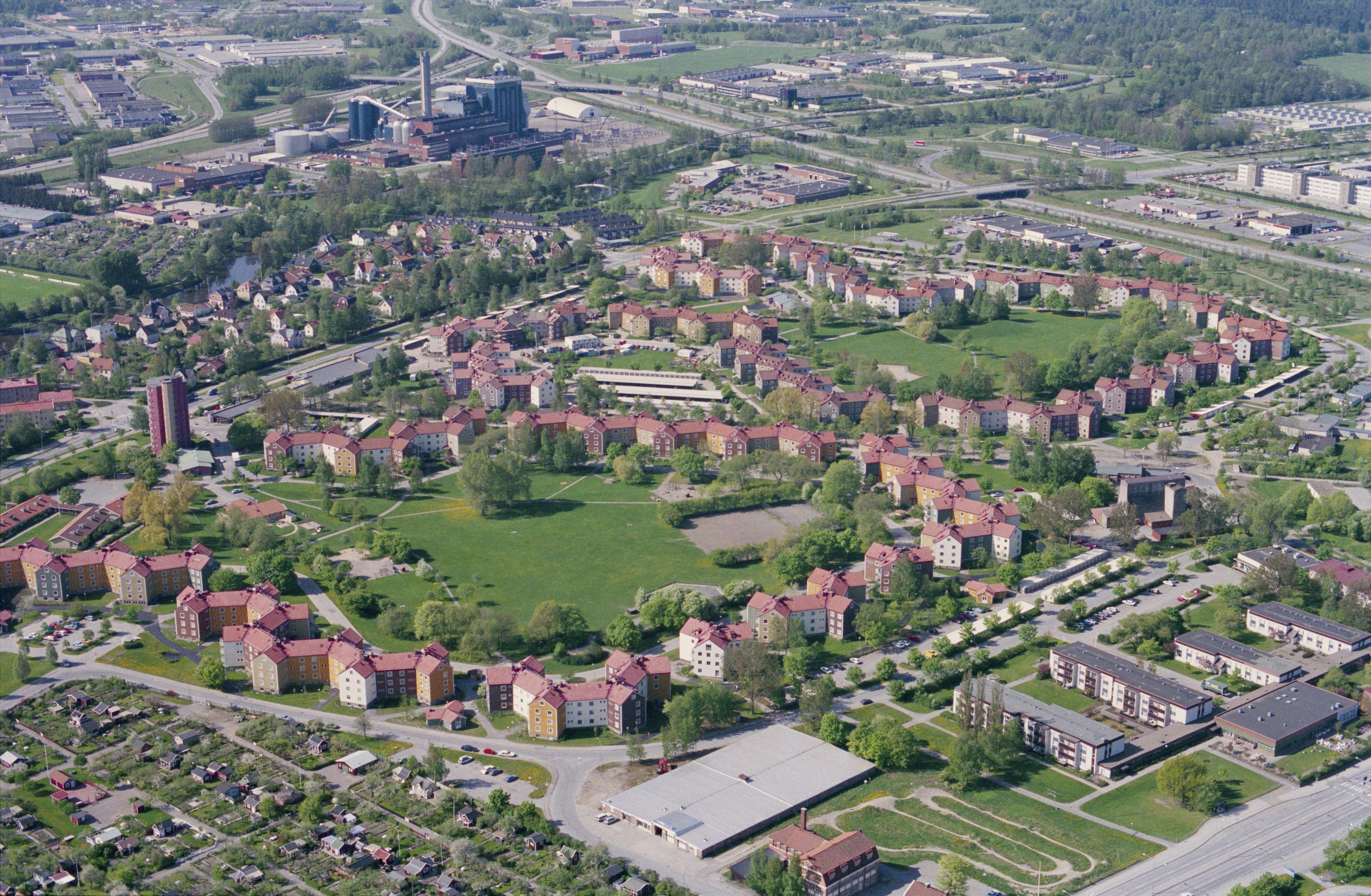 Jan Norrman, Rosta