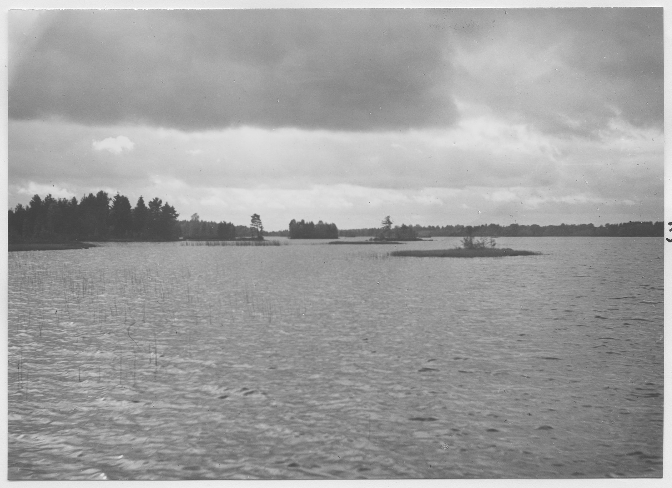 Mårten Sjöbeck, Duvelycke