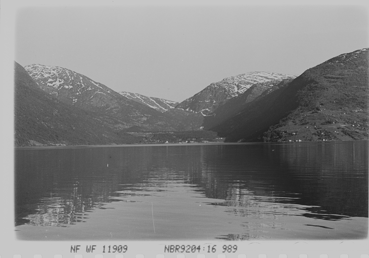 Anders Beer Wilse, Prot: Ullensvan fra fjorden