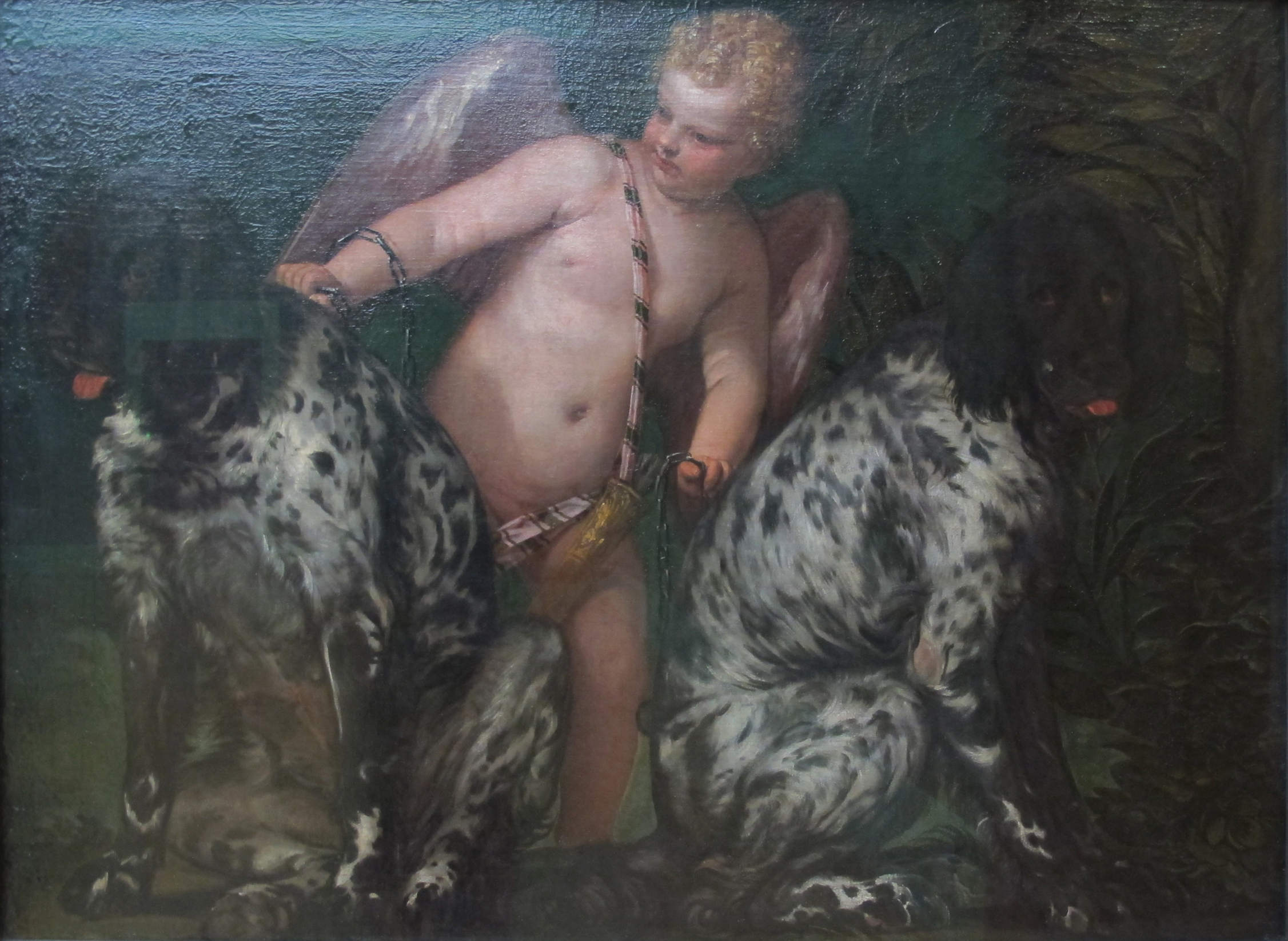 Paolo Veronese, Amor mit zwei Hunden