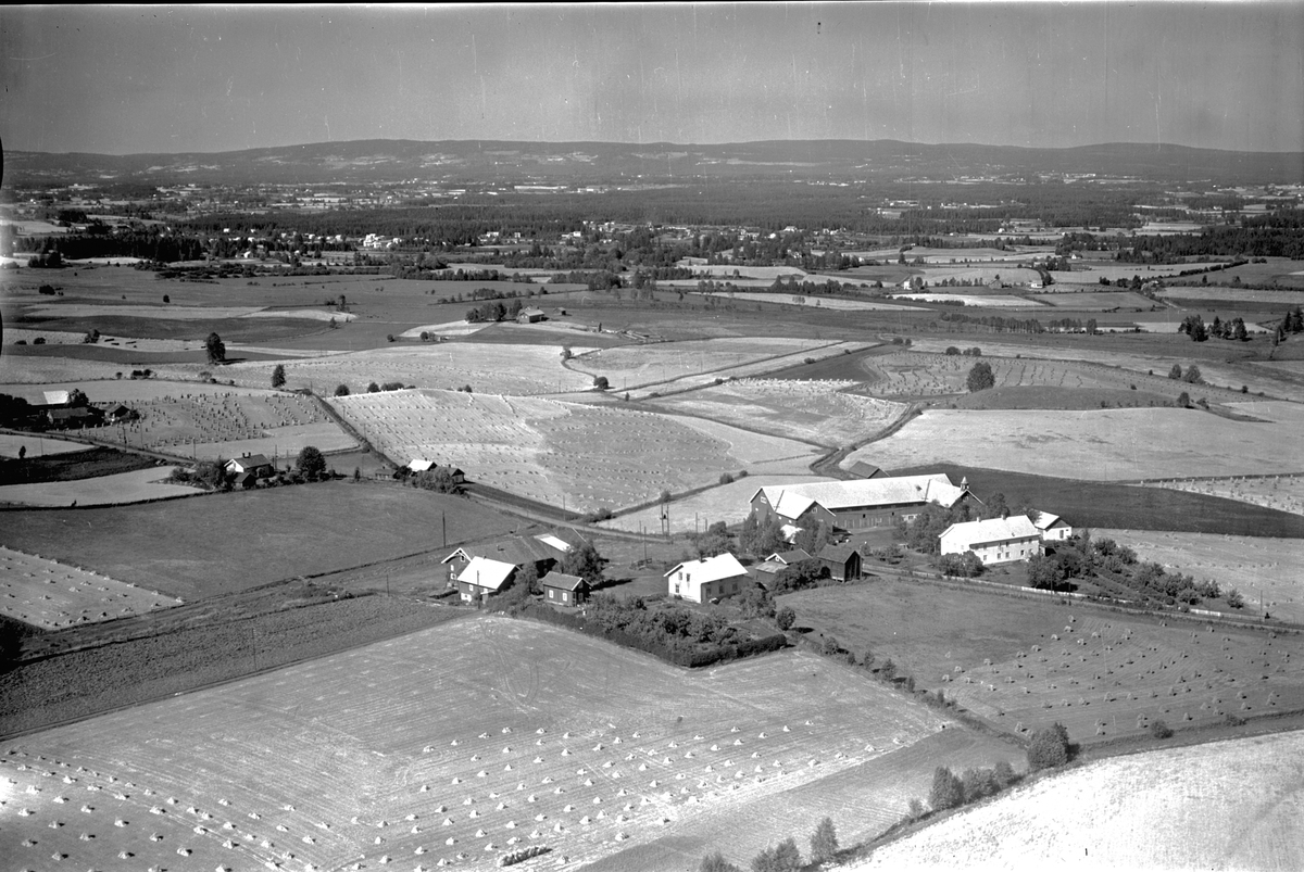 Widerøes Flyveselskap A/S, FLYFOTO RØHNE, RØNE VESTRE, STANGE