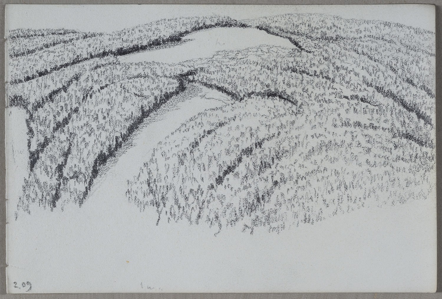 Ernst Morgenstern, Unidentifizierter Ort: Berghang mit Wald und Wiese (Skizzenbuch Ernst Morgenstern, Beilage)