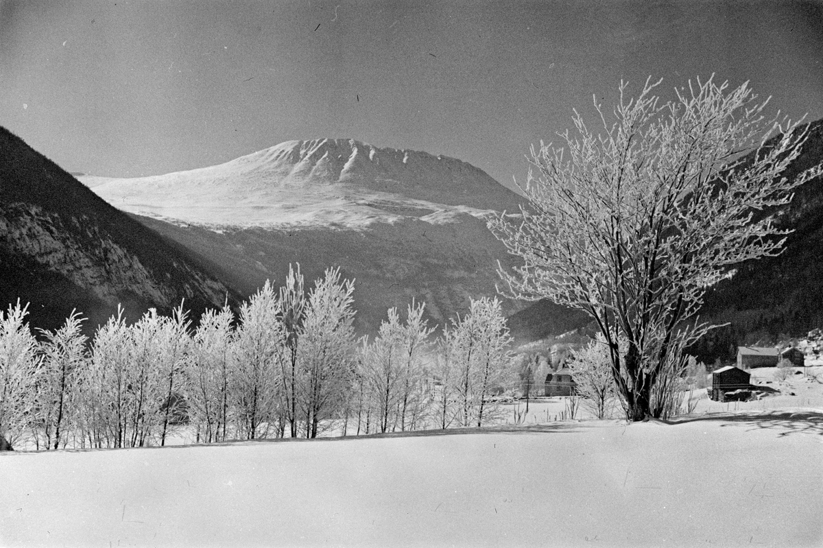 Anders Beer Wilse, Prot: Gaustatoppen fra Vestfjordalen