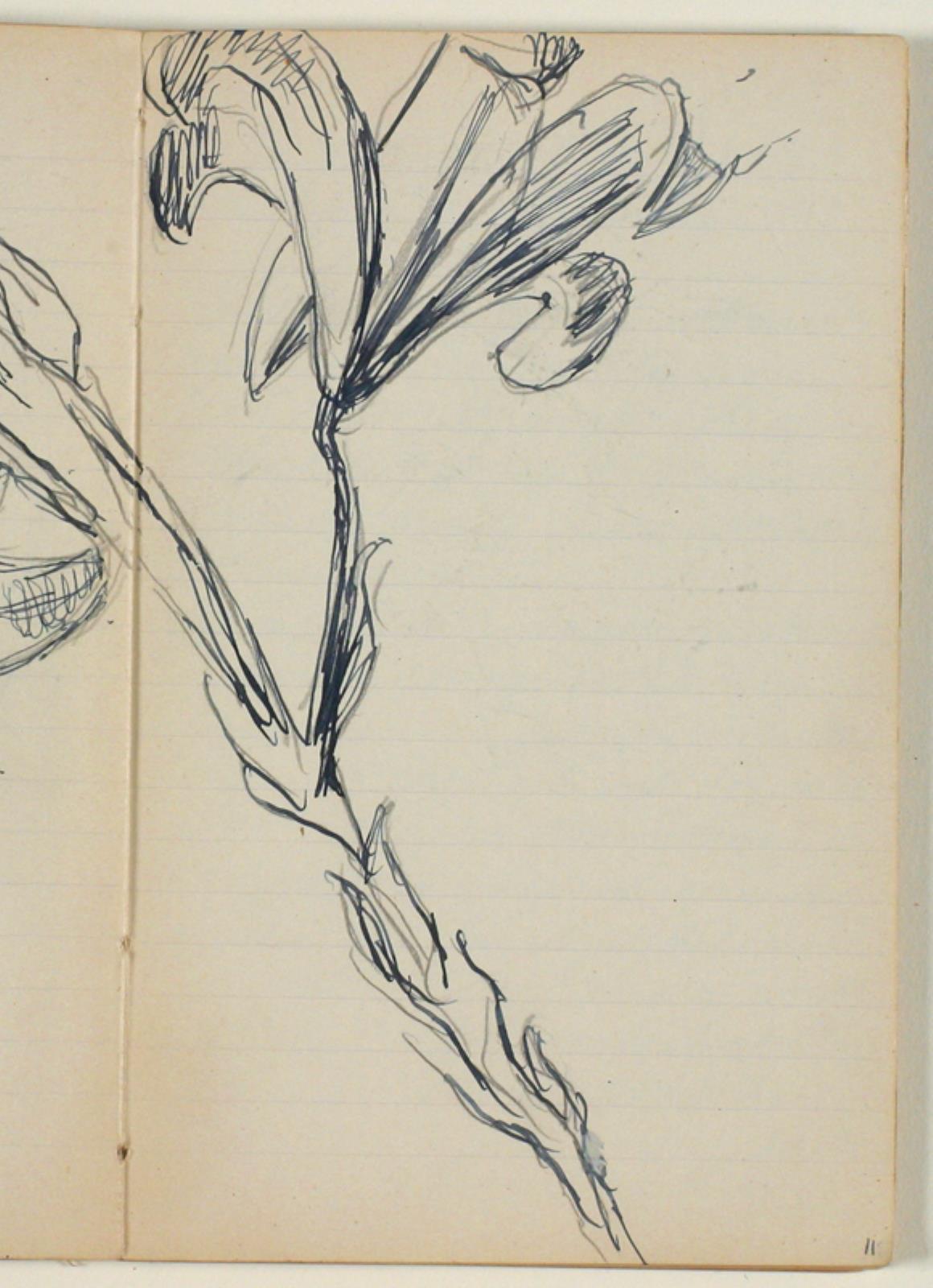 Niels Larsen Stevns, Blomsterstudier