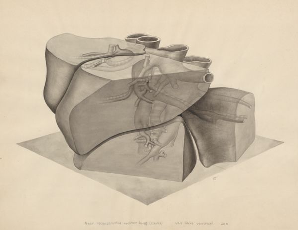 J Tinkelenberg, Lungs
