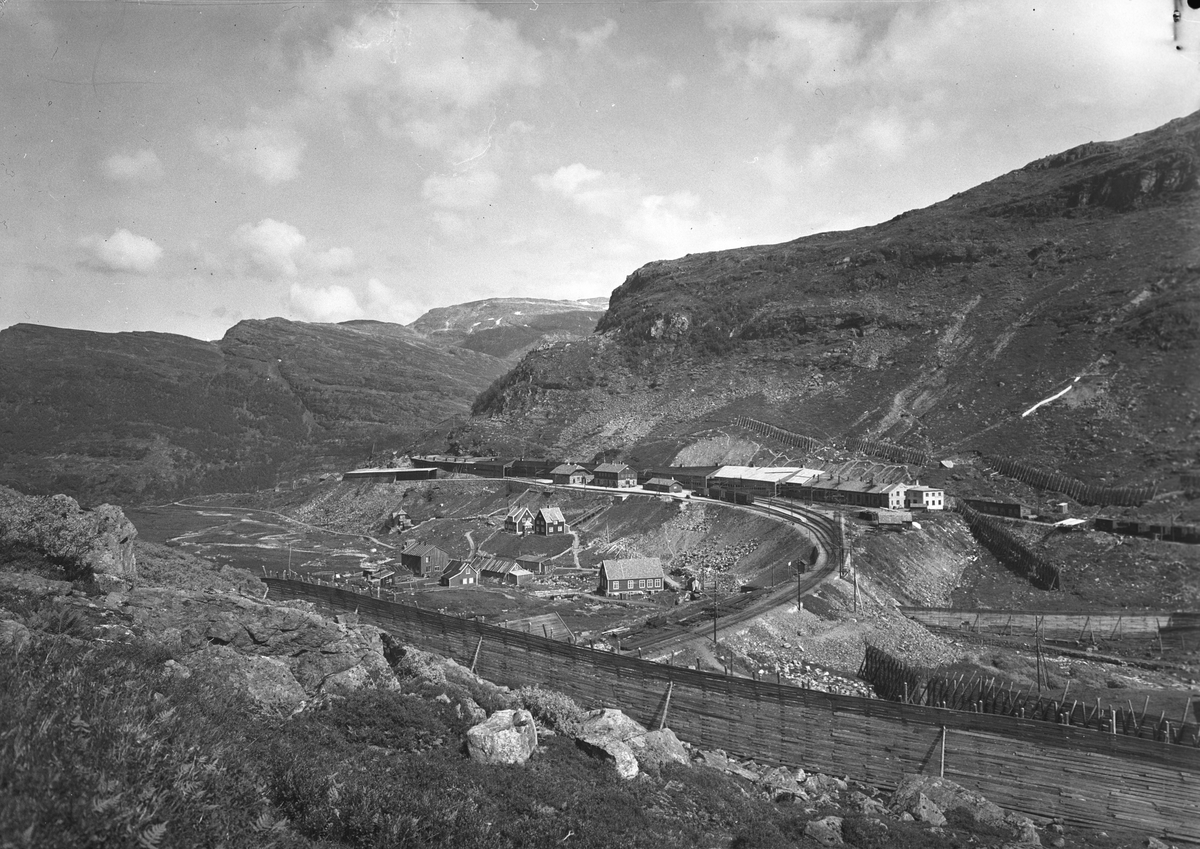 Anders Beer Wilse, Prot: Flåmsbanen Myrdal stj