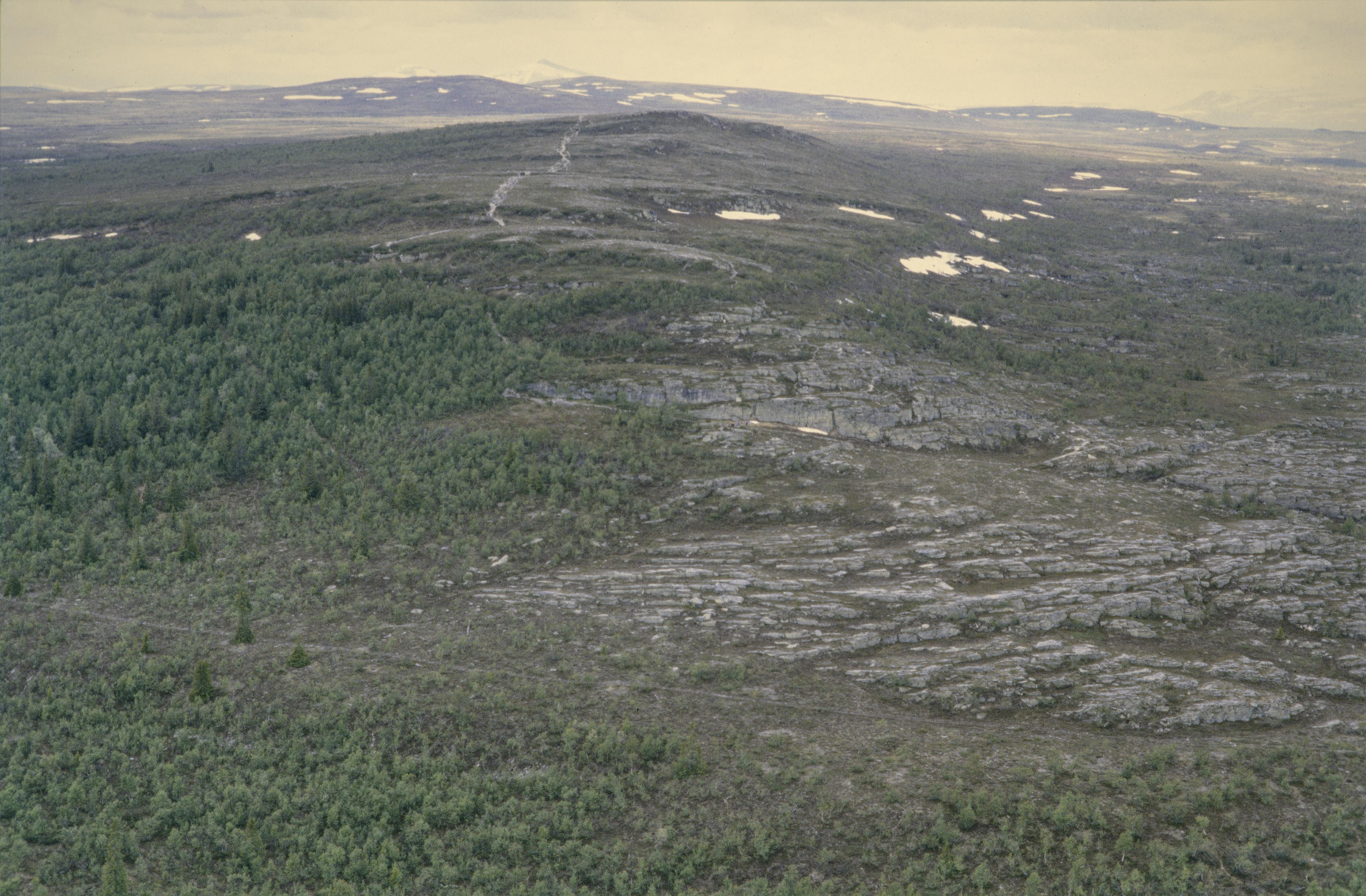 Jan Norrman, Tännäs 58:1