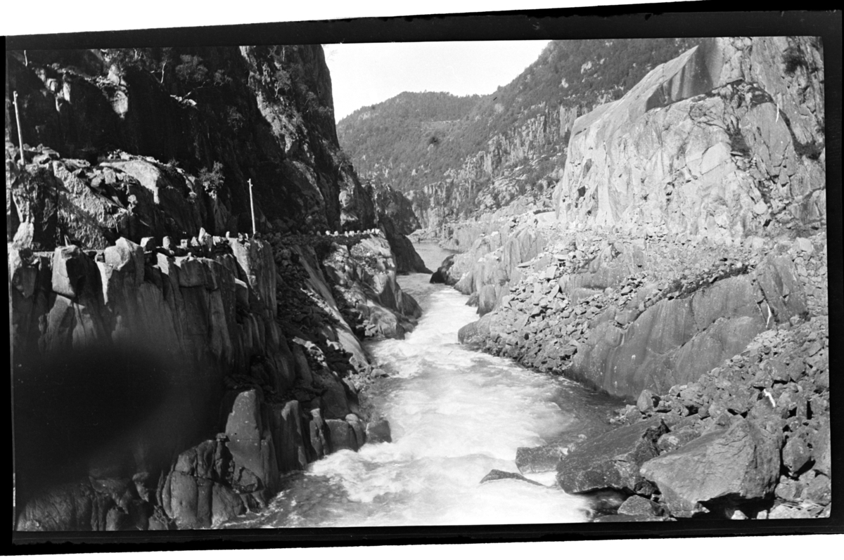 Rolf Sr. Sundt, NF.34664-434