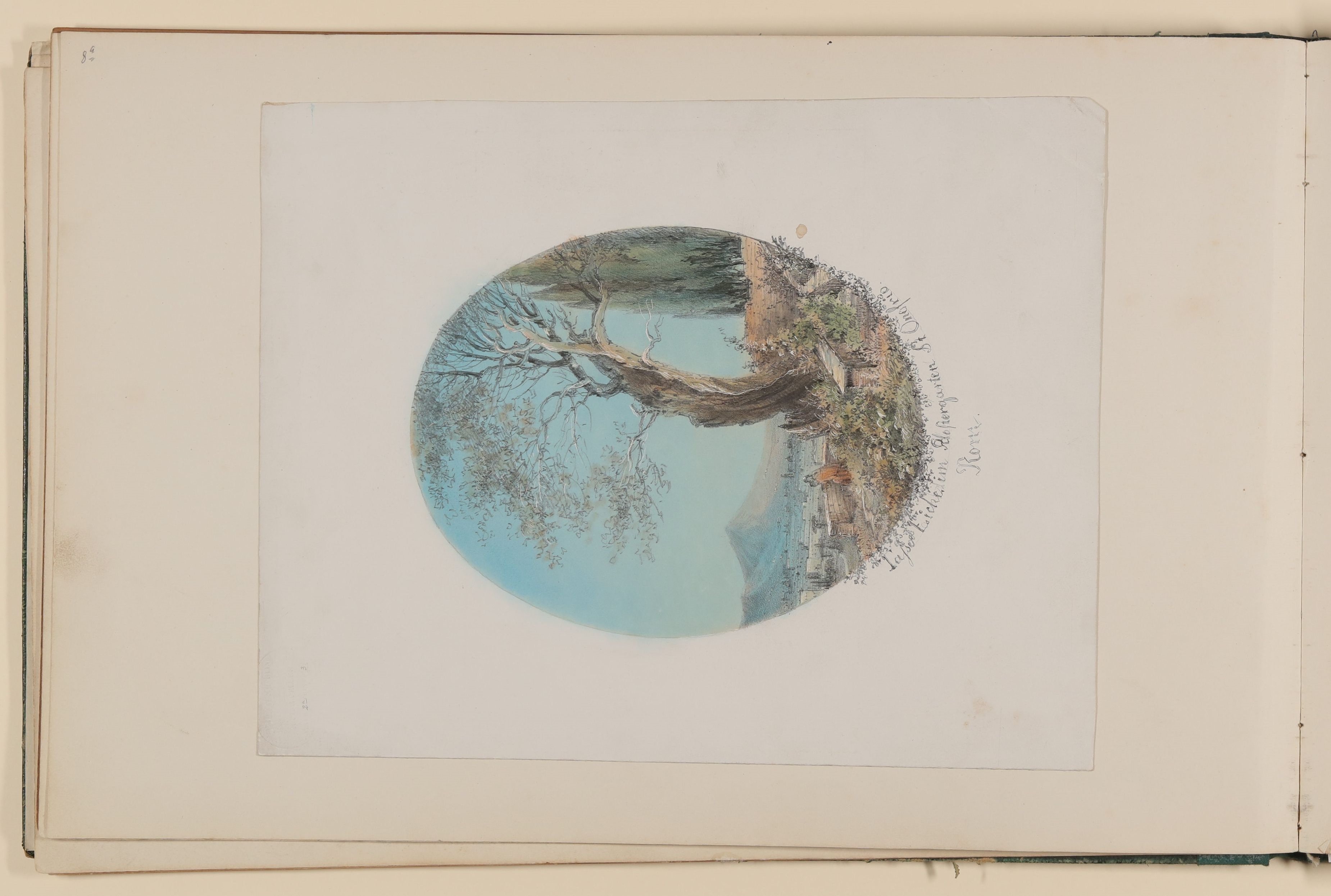 Maximiliane von Arnim, Die Tasso-Eiche im Klostergarten von St. Onofrio in Rom [aus einem Album aus dem Besitz der Bettine-Töchter]