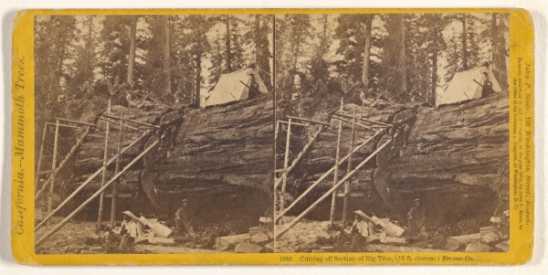 John P. Soule, Cutting off Section of Big Tree, (78 ft. circum.) Frezno [sic] Co.