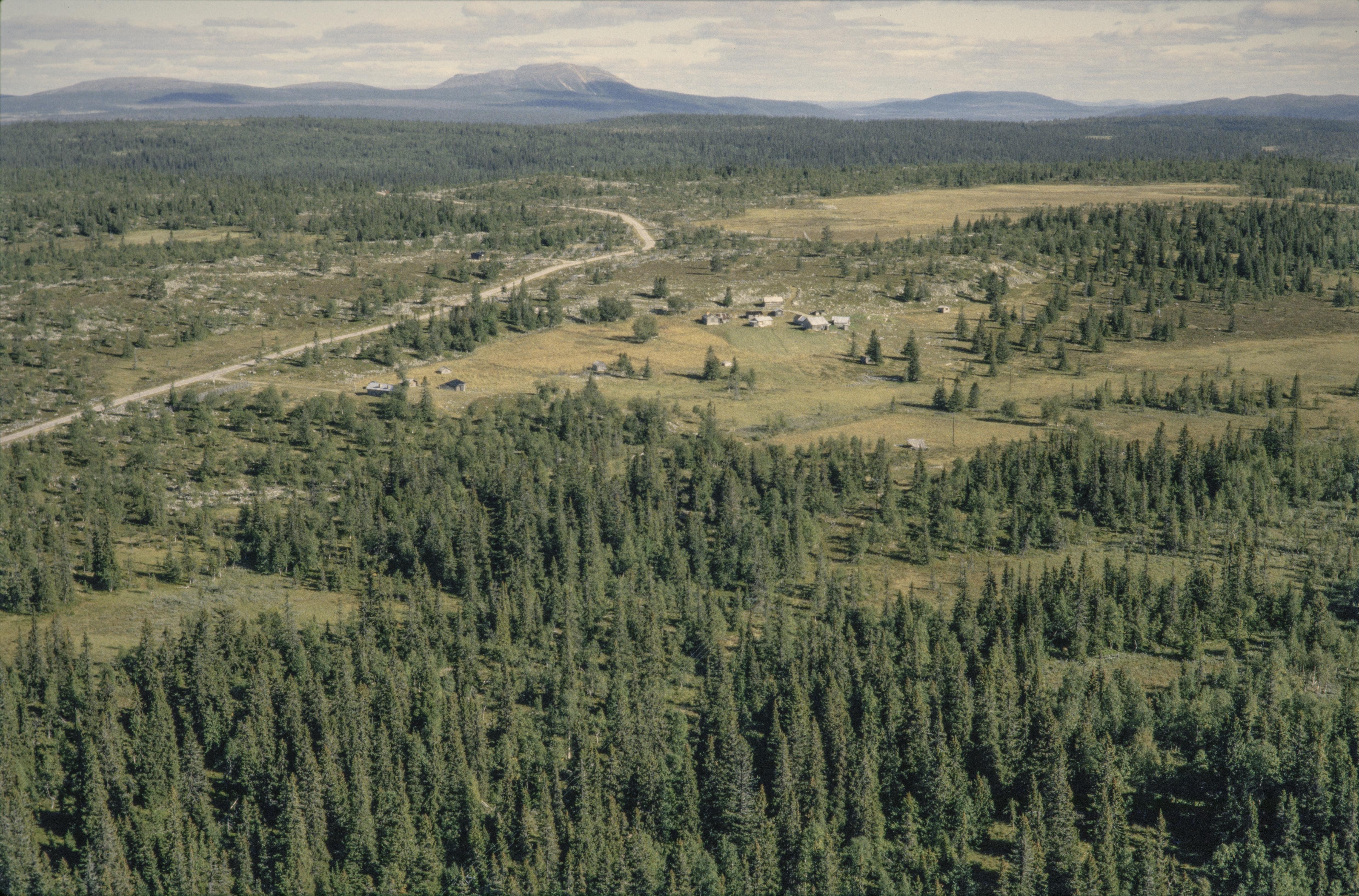 Jan Norrman, Sörvattensvallarna