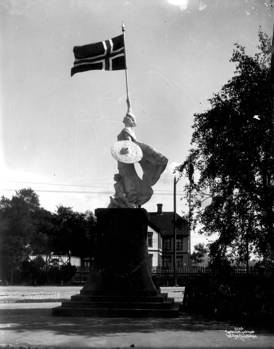 Anders Beer Wilse, Kong Haakon`s Kroningsferd