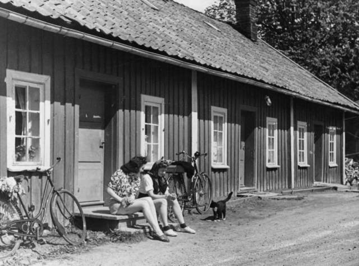 Anders Beer Wilse, -6231