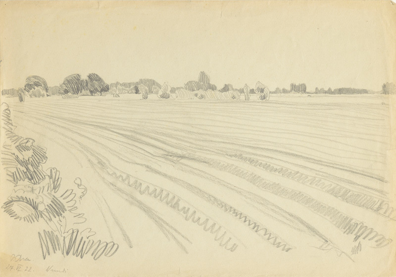 Peet (autor) Aren, Tarvasse landscape