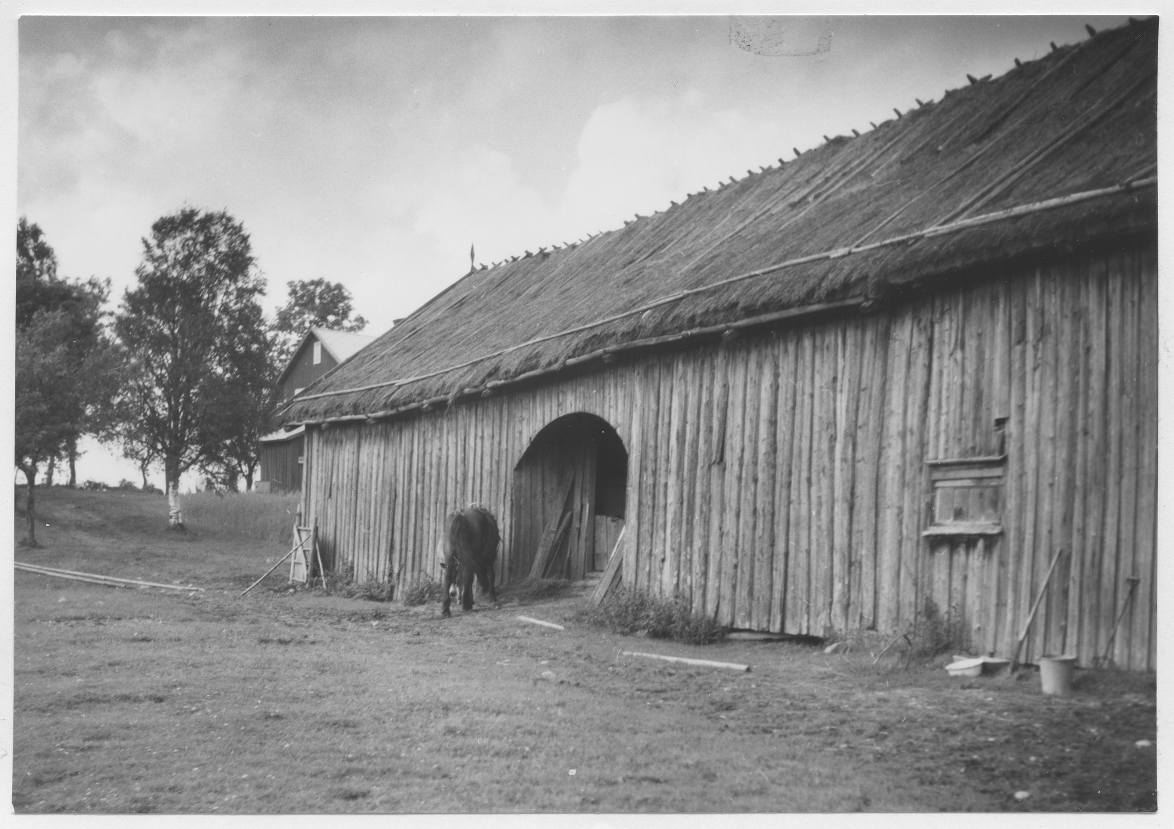 Mårten Sjöbeck, Ånim