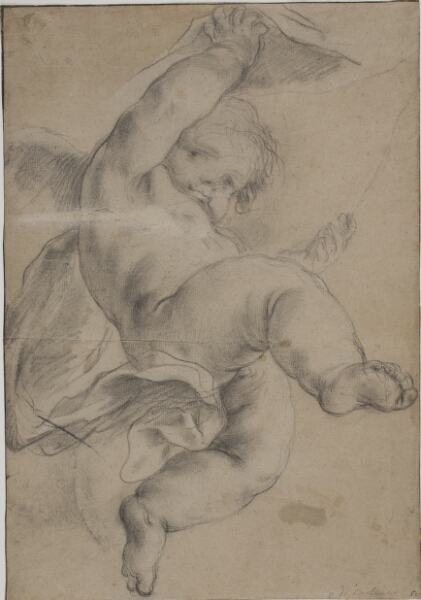 Pietro da Cortona, Flyvende putto, der løfter et forhæng