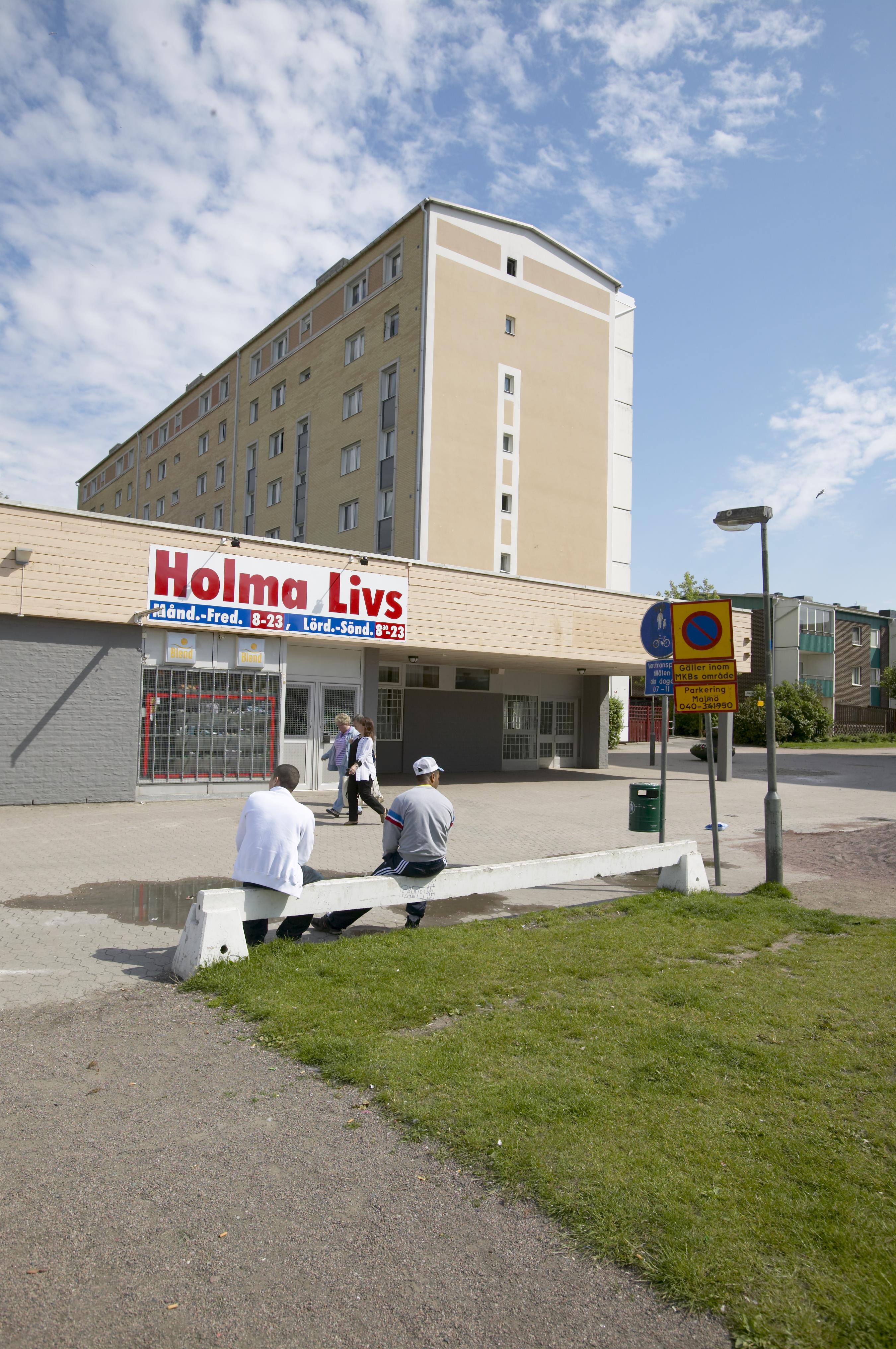 Bengt A Lundberg, Holma
